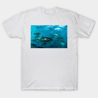 Yellowfin tuna (Z605/1620) T-Shirt